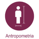 Icon Antropometria ITA