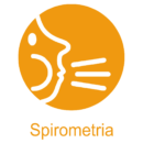 Icon Spirometria ITA